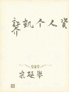 许凯个人资料简介