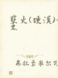 孽火(硬汉)今又