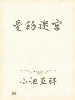 爱的迷宫