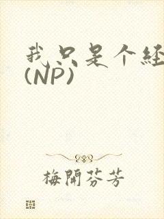 我只是个经纪人(NP)