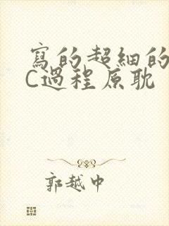 写的超细的多肉C过程原耽