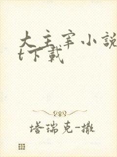 大主宰小说txt下载