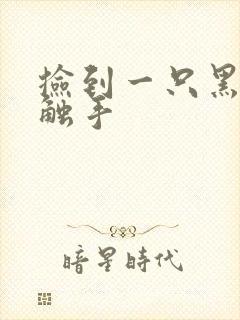 捡到一只黑心小触手