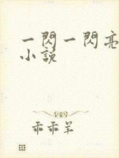 一闪一闪亮星星小说