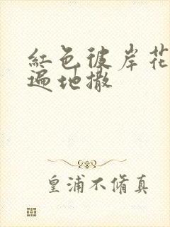 红色彼岸花花瓣遍地撒封面