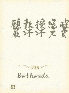 顾教授您醒了吗严沐沐免费阅读