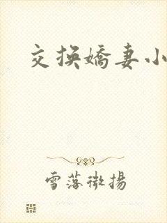 交换娇妻小说