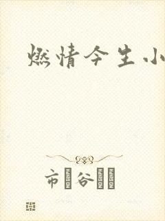 燃情今生小说
