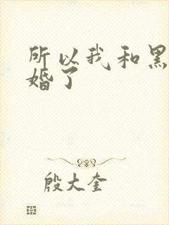 所以我和黑粉结婚了