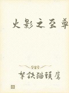 火影之至尊邪帝