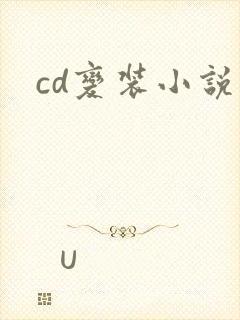 cd变装小说