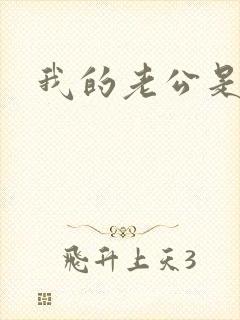 我的老公是军阀