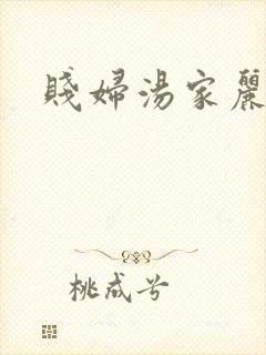 《贱妇汤家丽》小说封面