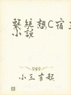 系统想C宿主的小说