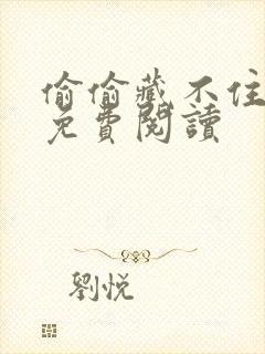 偷偷藏不住小说免费阅读