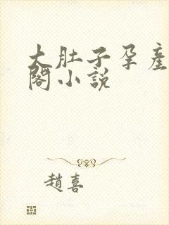 大肚子孕产笔趣阁小说