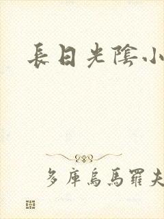 长日光阴小说