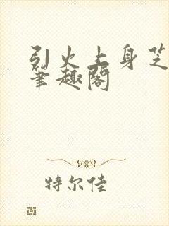 引火上身芝麻糖笔趣阁