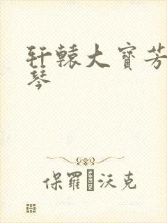 轩辕大宝芳菲雅琴