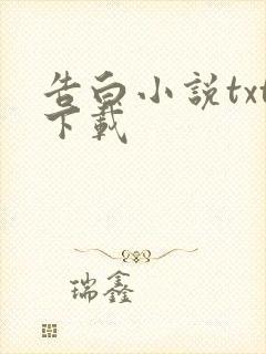 告白小说txt下载