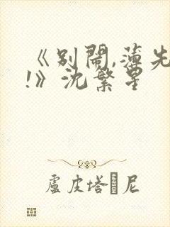 《别闹,薄先生!》沈繁星