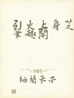 引火上身芝麻糖笔趣阁