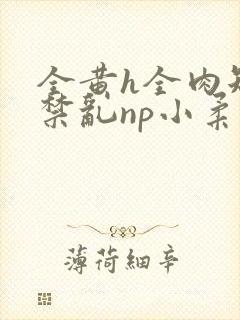 全黄h全肉短篇禁乱np小柔