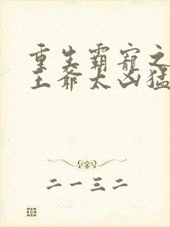 重生霸宠之摄政王爷太凶猛