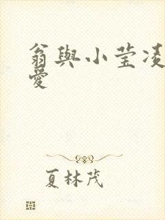 翁与小莹凌晨欢爱