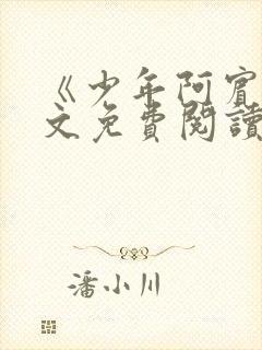 《少年阿宾》全文免费阅读