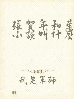 张贺年和叶繁姿小说叫什么名字