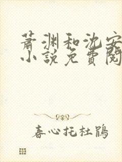 萧渊和沈安安的小说免费阅读