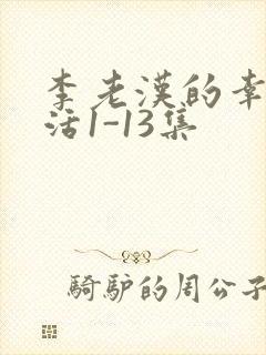 李老汉的幸福生活1-13集