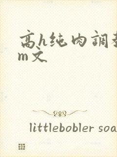 高h纯肉调教sm文