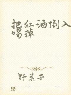 把红酒倒入b里喝掉