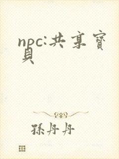 npc:共享宝贝