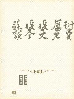 苏暖暖厉衍琛小说全文免费阅读