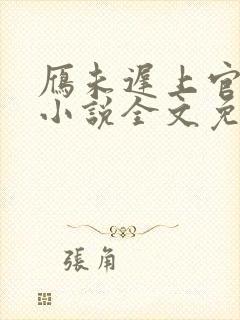 雁未迟上官穿越小说全文免费阅读