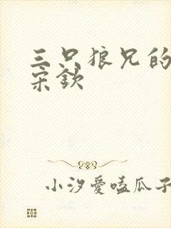 三只狼兄的宠妻宋钦