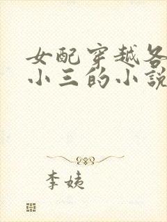女配穿越各个做小三的小说