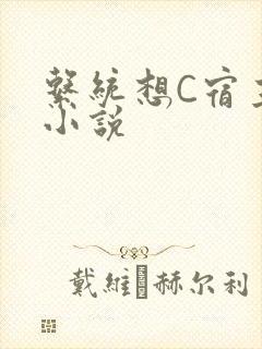 系统想C宿主的小说