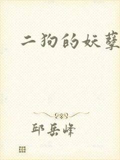 二狗的妖孽人生