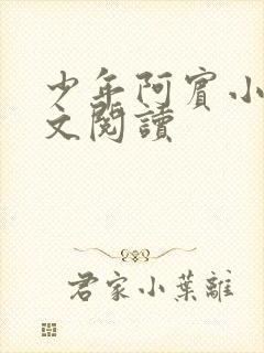 少年阿宾小说全文阅读封面