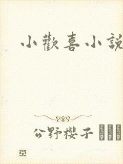 小欢喜小说