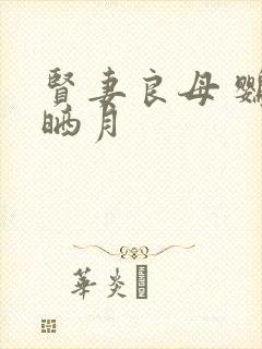 《贤妻良母 鹦鹉晒月》小说封面