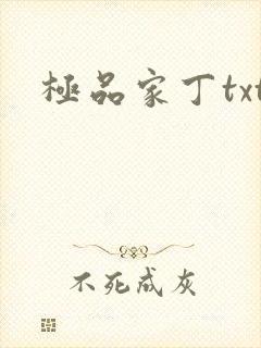 极品家丁txt