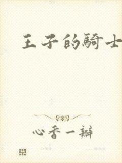 王子的骑士小说