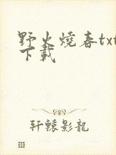 野火烧春txt下载