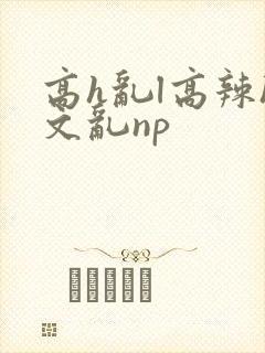 高h乱l高辣h文乱np