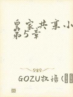 皇家共享小公主第5章